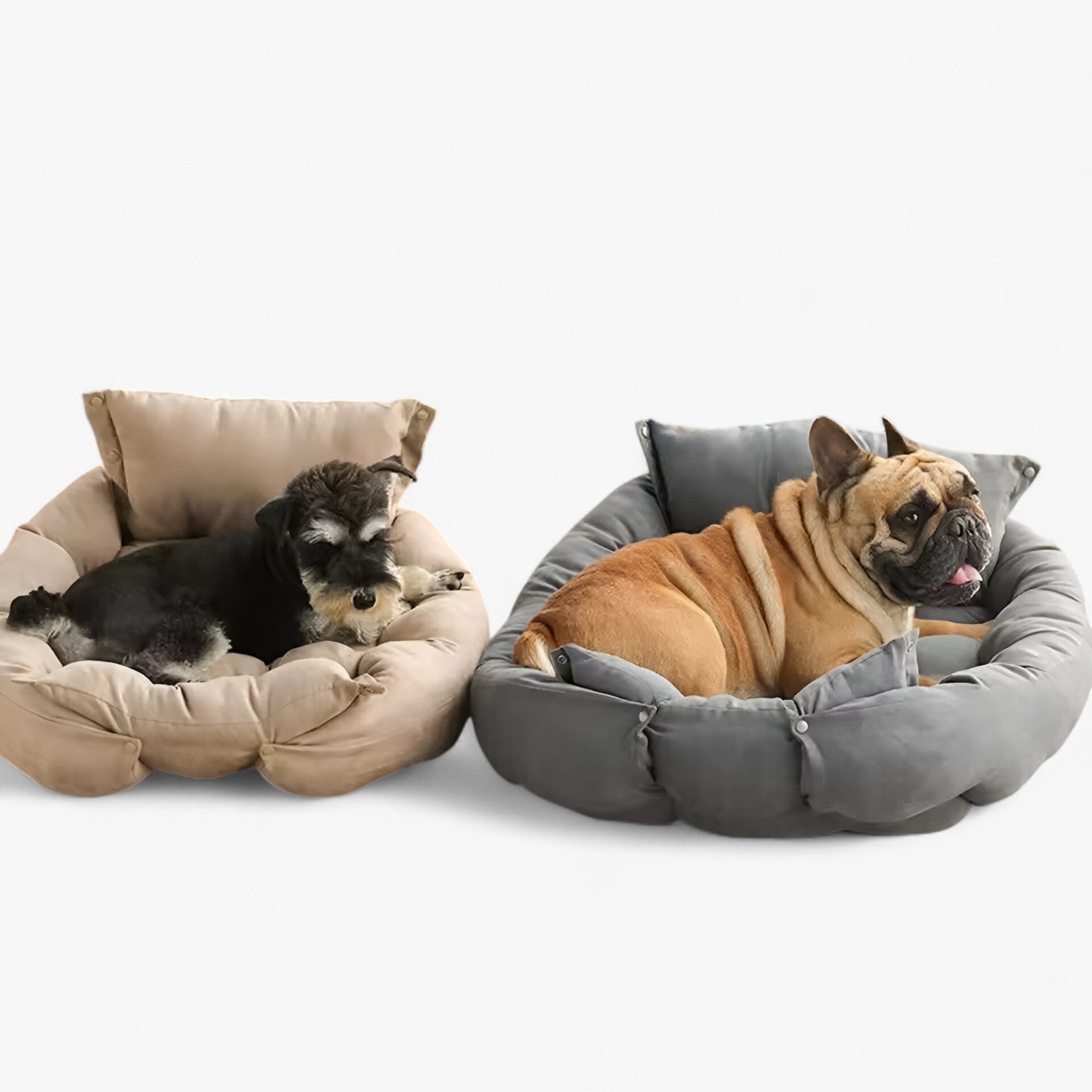 Buddy | 3-in-1 Multifunctioneel Huisdierbed voor Honden en Katten