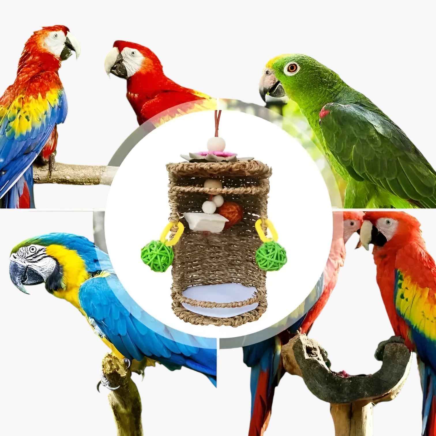 Carlos | Gezellige hanghut voor vogels – Comfortabele nest- en speelruimte