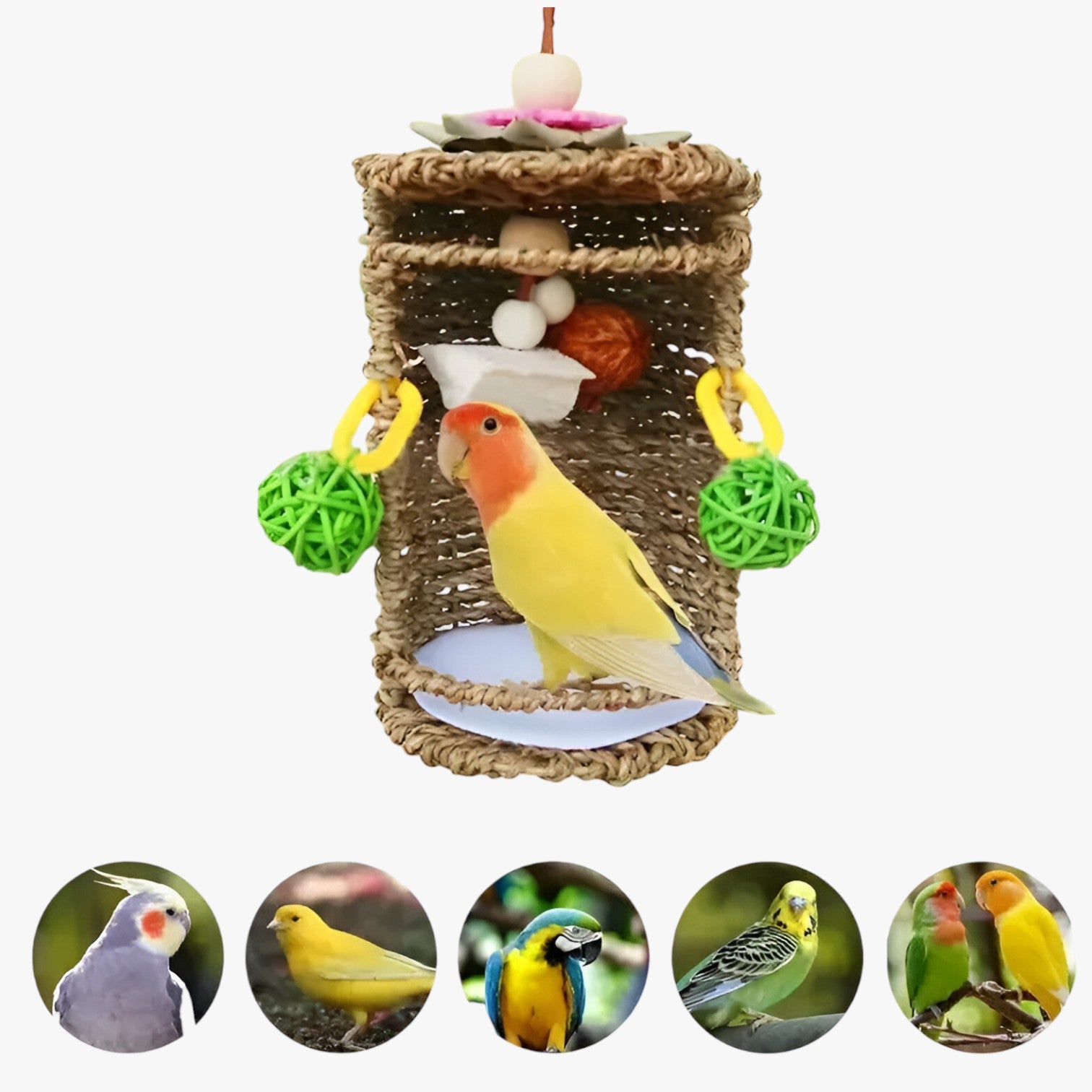 Carlos | Gezellige hanghut voor vogels – Comfortabele nest- en speelruimte