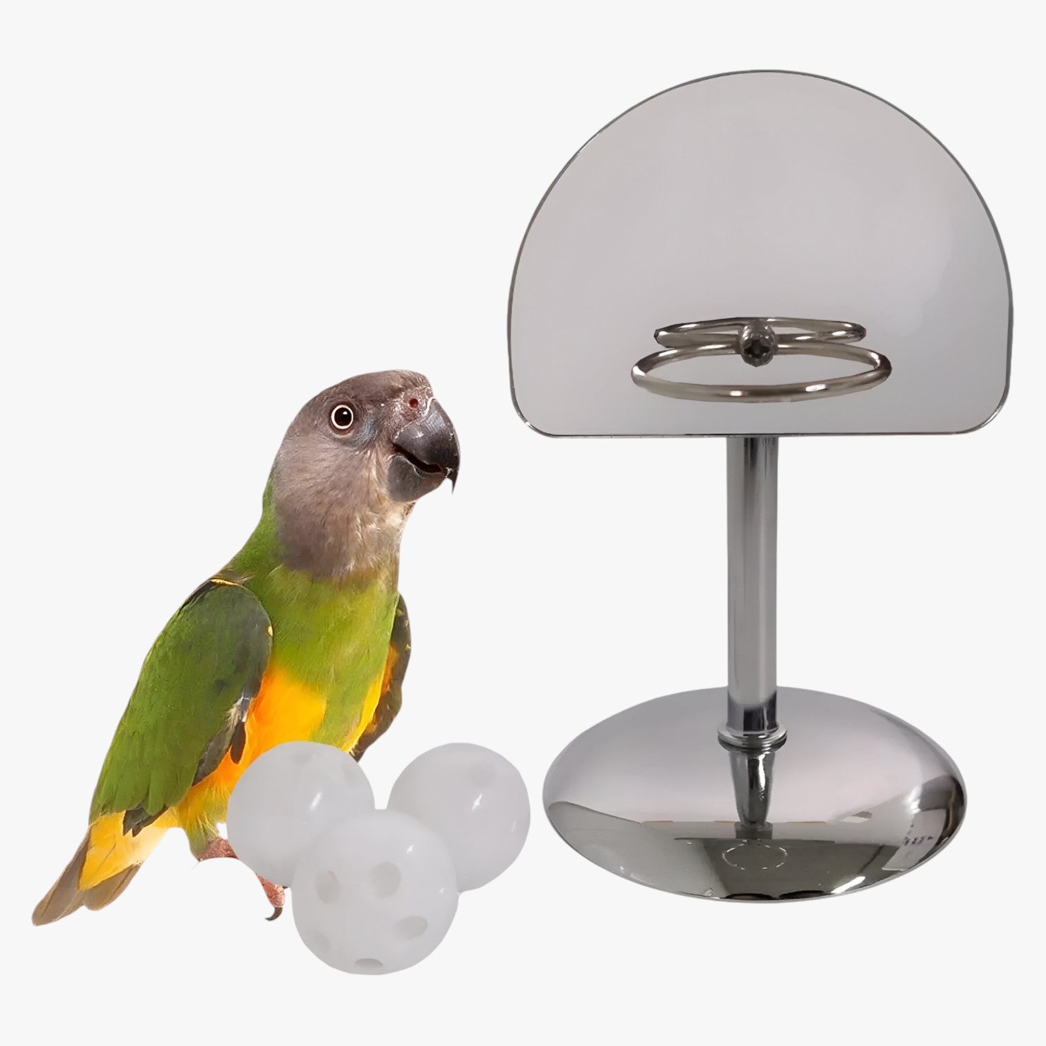 Alejandro | Train & Play - Slim papegaaienspeelgoed voor slimme vogels
