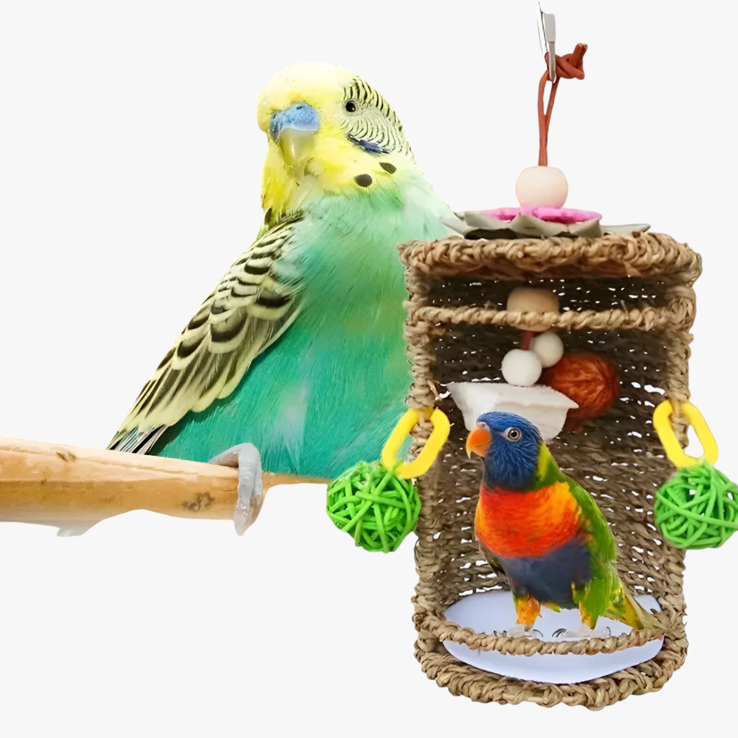 Carlos | Gezellige hanghut voor vogels – Comfortabele nest- en speelruimte
